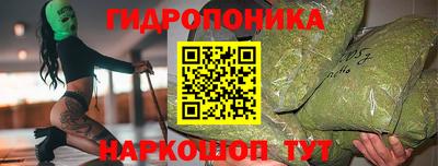СК Волгодонск